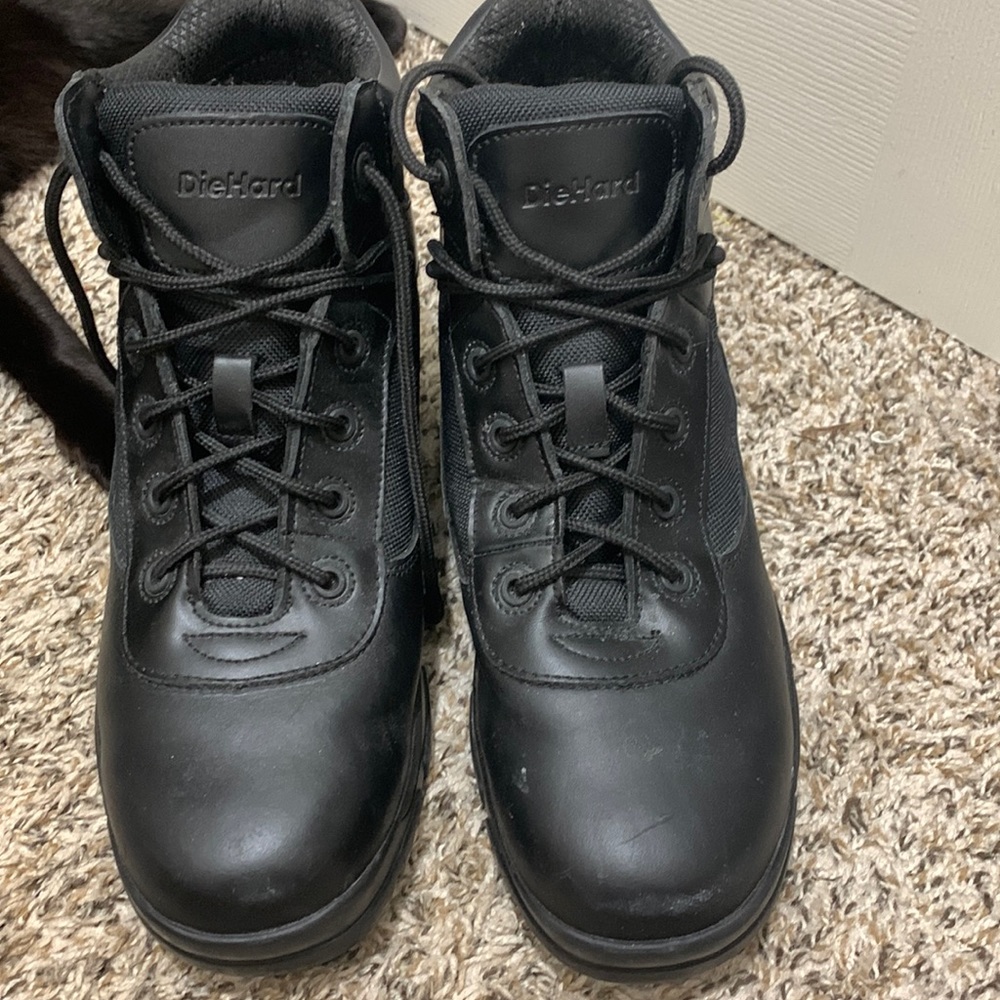 Diehard leather boots (with Arm and Hammer plush insoles) new without tags